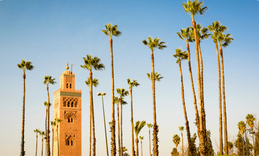 🏡 S’installer à Marrakech : Une tendance en forte hausse ces dernières années