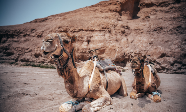 Agafay : À la découverte des activités, lodges et piscines 🌵🏜️